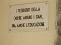 cani educati